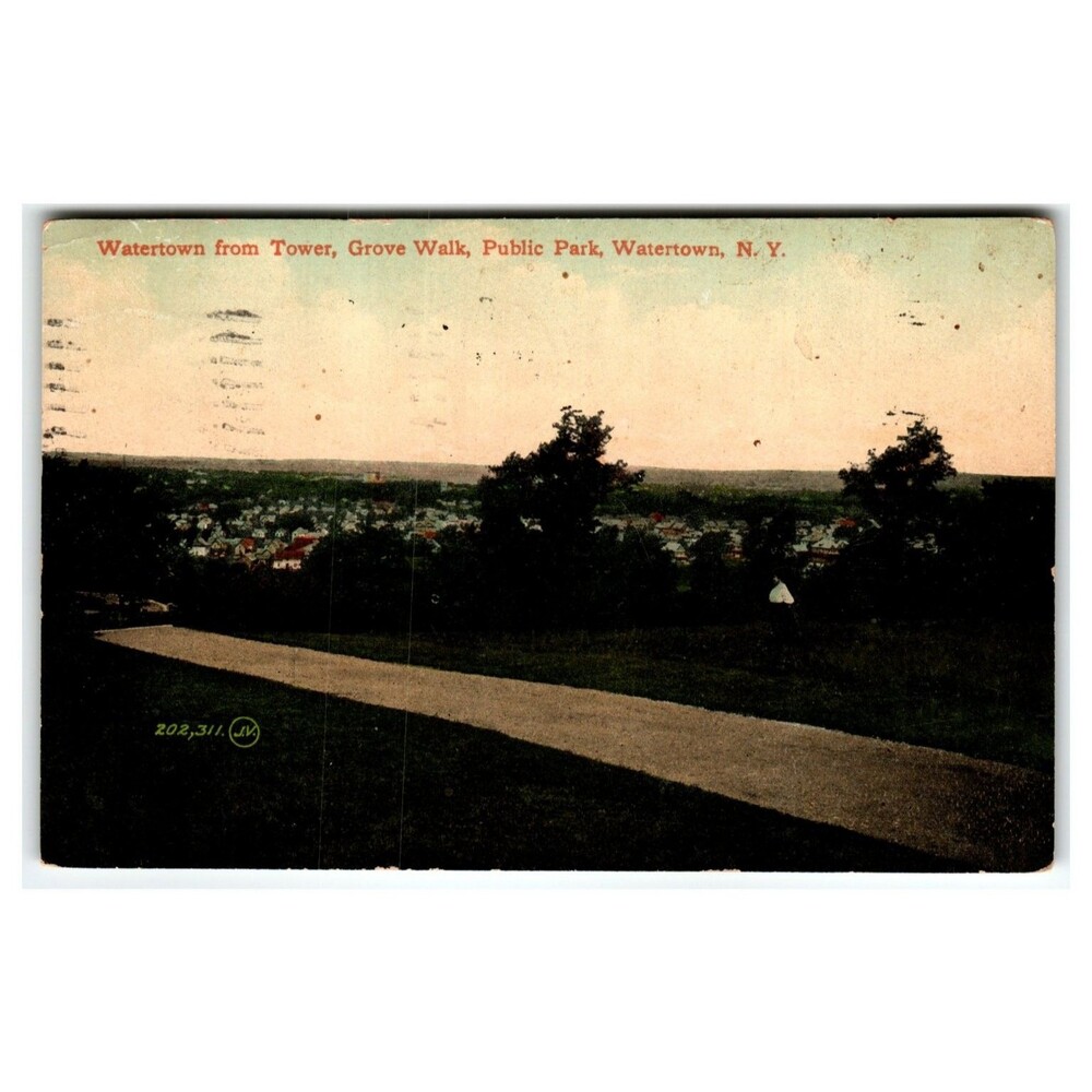 Watertown NY from Tower, Grove Walk, Public Park 1910 Postcard